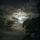 산들바람 이미지