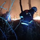 대구 달성 산불, 12시간 31분만에 진화완료 이미지