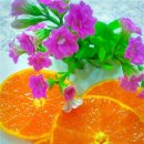 지윤농장 이미지