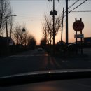 조광농장 이미지