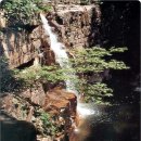 망상IC주유소 이미지