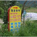 최씨네민박 이미지