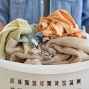 워시팡팡 이미지