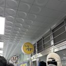 오구오구살롱 | 제주도 / 그시절그짬뽕 오픈런 웨이팅 고추짬뽕 삼선짬뽕 후기 / 오마이살롱, 랜디스 도넛 마감세일