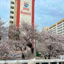 화신아파트경로당 이미지