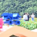 산소카페 청송군민음악회 이미지