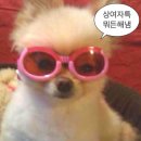 씨유보은삼년산성점 | 충북 보은 당일치기여행 : 법주사/ 삼년산성/ 보은대추닭강정 맛집ㅇㅈ