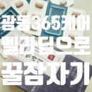 365힐링케어 | 식물성 멜라토닌 효과 광동 365케어 멜라딥 후기