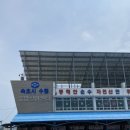 센스타디테일링센터 | 속초 동명활어센 자연산 회 후기 : 서울에서는 맛보기 힘든 신선함
