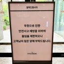 디즈니 판타지 스튜디오 판교 디즈니 무료 전시 주말 가볼 만한 곳으로 추천