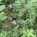 Avatar The Way of Water | Beyond hatred, ignorance, and greed. Avatar, The way of water, Fire and Ash