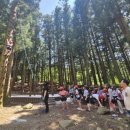 정남진 편백숲 우드랜드 이미지