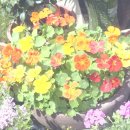 진영자이아파트 이미지