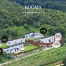 바우하우스 105 이미지