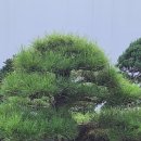 축제의땅 티스토리