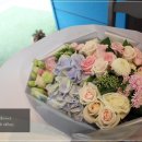 양재2동100 이미지