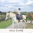 창락제1농로 | 제주도 승마체험, 신창풍차해안행복승마에서 5살 아이와 세식구 20분 외승 다녀온 솔직 후기