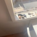 러브얼스 이미지