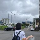 제주 서귀포 레터링 케이크 : 코코리코케이크- 축구도시락케이크