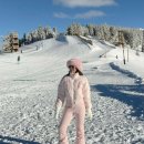 반짝이언냐 | [스키복] 핀터레스트 여자 스키복 코디 | 챠챠 위시리스트 자라 스키복 | 겨울스포츠 스키