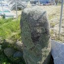 벅시 - 중구 종로 35 | 벅시