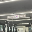 BMG 복싱 이미지