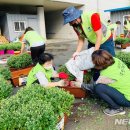 무궁화상가 1차 이미지