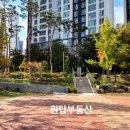 능수버들공원로 네이버블로그