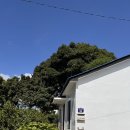 아쉬람 | 서귀포 요가 비움요가아쉬람에서 요가하고 표선맛집 방문후기