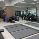 동남의지 이미지