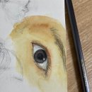 하프팔레트 | 문교 수채 고체물감 12색 틴케이스 팔레트 사용 후기