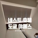 (주)한국네스트 | 도쿄 네스트 호텔 야에스(벨켄 호텔 도쿄) 내돈내산 후기(가격/위치/조식/나리타공항철도)
