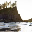 바다엔소나무 이미지