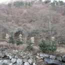 대불공원 우측 이미지