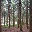 에코힐링민박 이미지