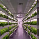 명은농장 이미지