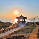 감동만두 이미지