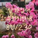 삼주부동산중개사무소 이미지