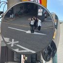 갠지 | 7/7 - 7/13 기록 : 주말에 여행을 안가면 막 미쳐버리는 병도 있나요?