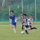 청풍공설운동장 공설운동장 이미지