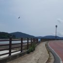 정남진해안로공원 이미지