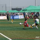 생활체육공원 인조구장B구장 이미지