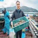 완도1호선 | 추석 선물 완도1호 왕특대전복 건강한 선물세트 부모님선물로 좋아요