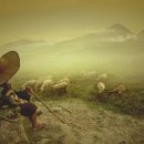 자연과함께 이미지