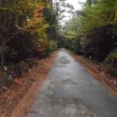 서호동-29 이미지