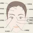 관상학 이미지