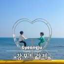 경주 감포트라제2 이미지