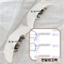리리아브로우&스칼프 이미지