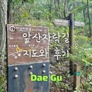 앞산자락길 | 대구 앞산자락길 지도와 후기(대구 둘레길)