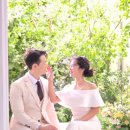 시프헤어 이미지